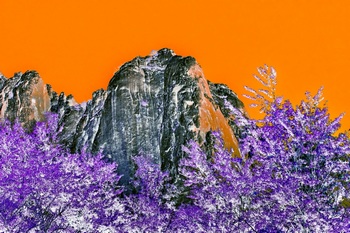 L 019E